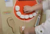 Montessori fali szájhigiénia szenzoros fejlesztő játék