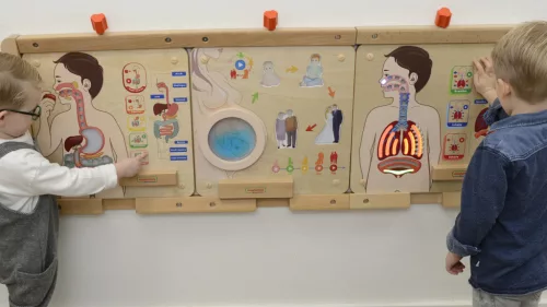 MASTERKIDZ légzőrendszer oktató tábla